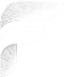 FenixTrace Logo